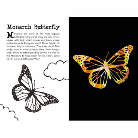 Scratch and Sketch Butterflies and Friends (Art Activity Book) (Scratch & Sketch)