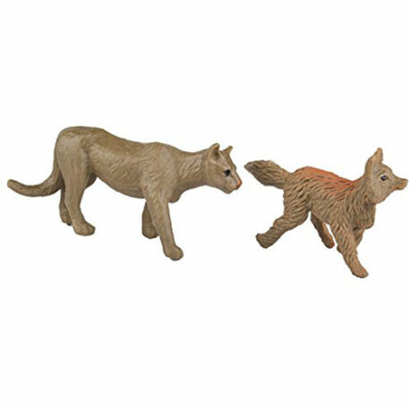 Safari Ltd Nature TOOB - Comes With 12 Different Hand Painted Figurine Models Including Gray Wolf, Moose, Raccoon, Beaver, Rabbi