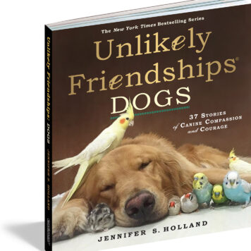 Unlikely Friendships: Dogs