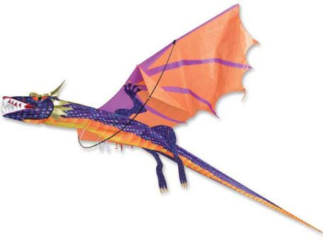 3D Dragon Kite - Sunset