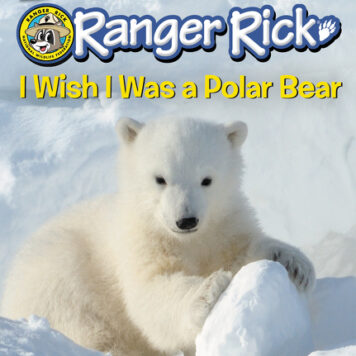 Ranger Rick: I Wish I Was a Polar Bear