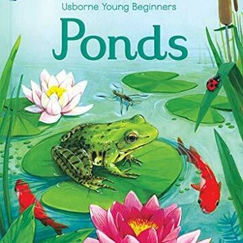 Ponds (Young Beginners)