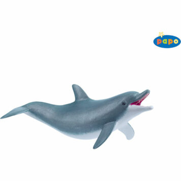 Playing Dolphin