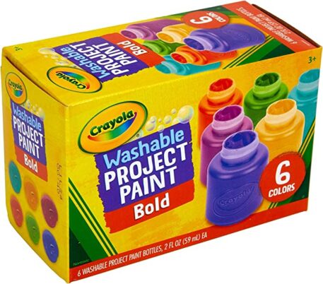 6 Pack Bold Washable Project Paint