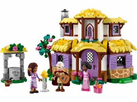 Lego Disney Asha's Cottage