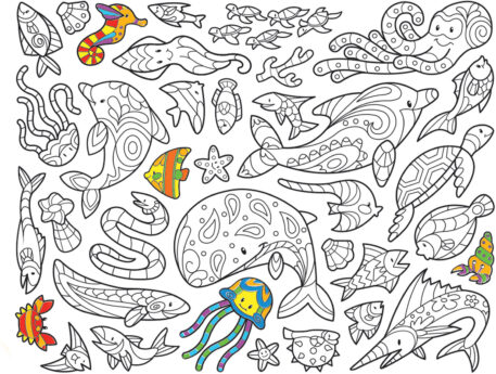 Color-Your-Own Sticker Pad - Animals