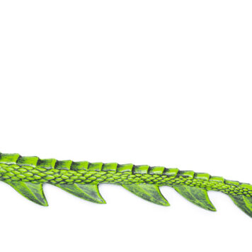 Dragon Tail - Green