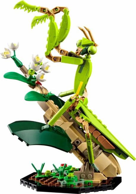 Lego Ideas The Insect Collection